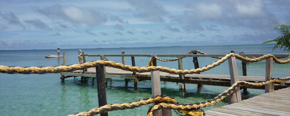 Tonga/Samoa Feb 2009